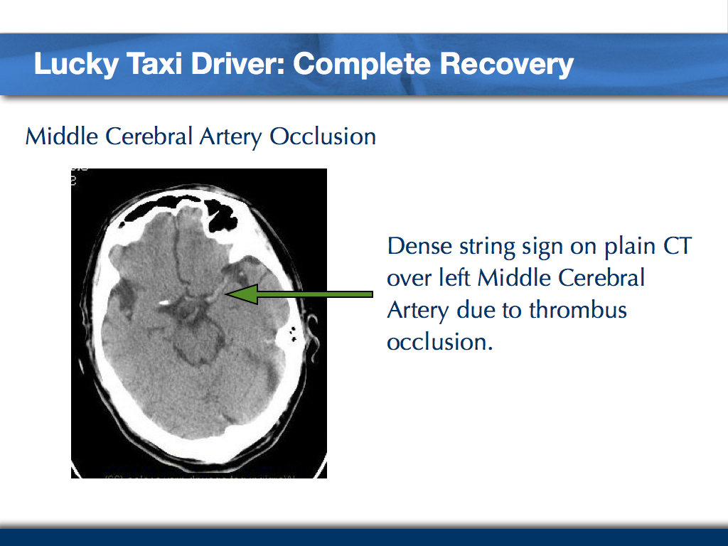Golden-8-hours-Case-Taxi-Driver-003