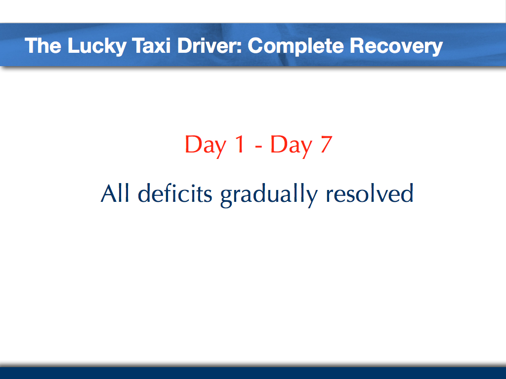 Golden-8-hours-Case-Taxi-Driver-015